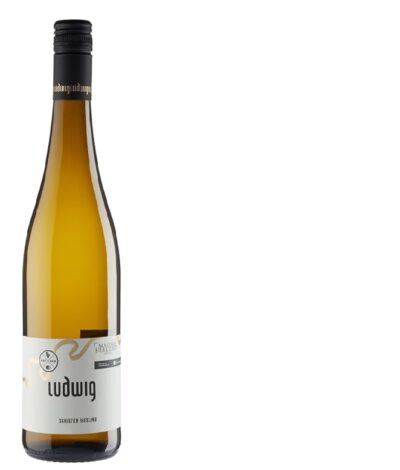 Schiefer Riesling trocken 2023